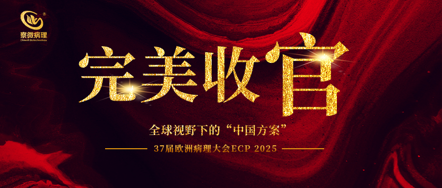 2025 ECP 完美收官 | 察微病理以创新科技书写全球化新篇章