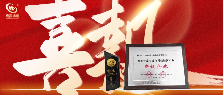 新锐黑马 双誉加冕 | 荣获2025年度宁波市科技创新产业新锐企业、新锐人物荣誉