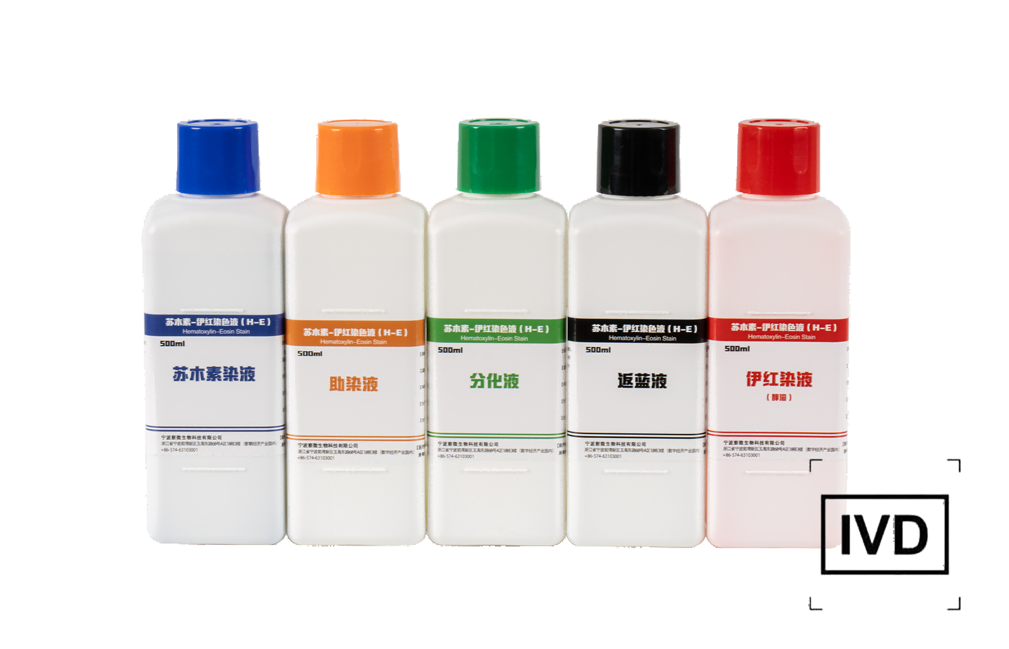 高清恒定染色液